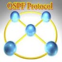 پایان نامه پروتکل های مسیریابی شبکه و بررسی پروتکل OSPE
