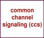 دانلود مقاله سیگنالینگ کانال مشترک (ccs)